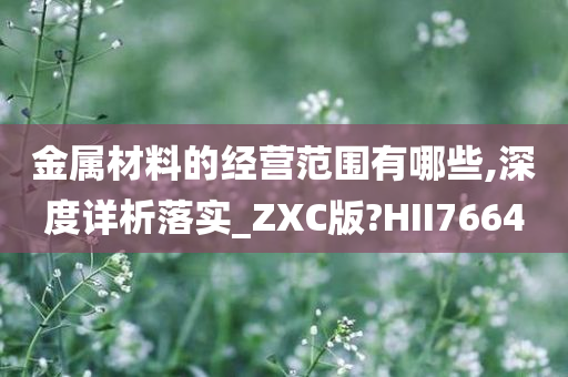 金属材料的经营范围有哪些,深度详析落实_ZXC版?HII7664