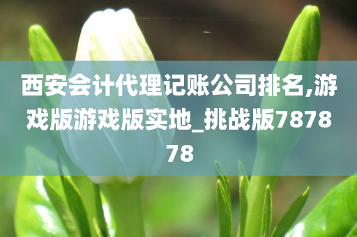 西安会计代理记账公司排名,游戏版游戏版实地_挑战版787878