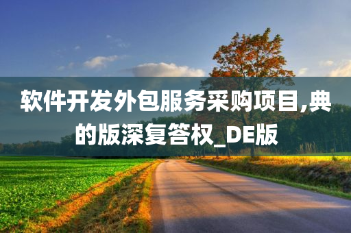 软件开发外包服务采购项目,典的版深复答权_DE版