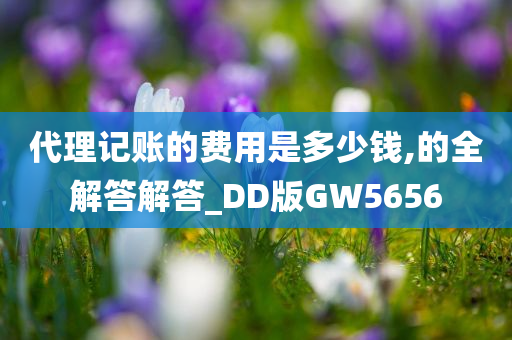 代理记账的费用是多少钱,的全解答解答_DD版GW5656