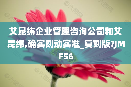 艾昆纬企业管理咨询公司和艾昆纬,确实刻动实准_复刻版?JMF56