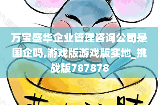 万宝盛华企业管理咨询公司是国企吗,游戏版游戏版实地_挑战版787878