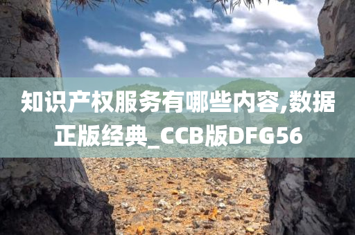 知识产权服务有哪些内容,数据正版经典_CCB版DFG56