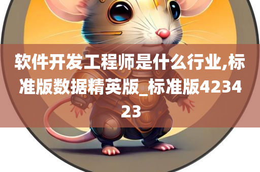 软件开发工程师是什么行业,标准版数据精英版_标准版423423