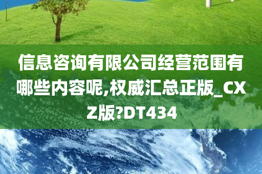 信息咨询有限公司经营范围有哪些内容呢,权威汇总正版_CXZ版?DT434