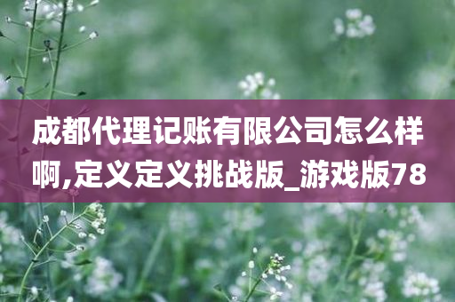 成都代理记账有限公司怎么样啊,定义定义挑战版_游戏版78