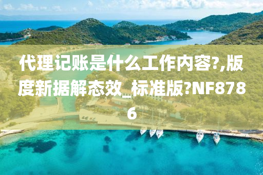 代理记账是什么工作内容?,版度新据解态效_标准版?NF8786