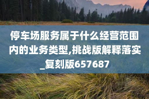 停车场服务属于什么经营范围内的业务类型,挑战版解释落实_复刻版657687