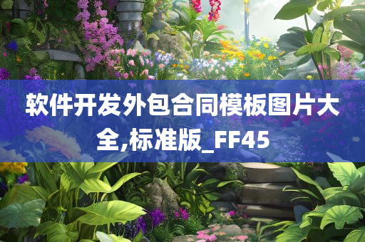 软件开发外包合同模板图片大全,标准版_FF45