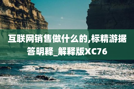 互联网销售做什么的,标精游据答明释_解释版XC76