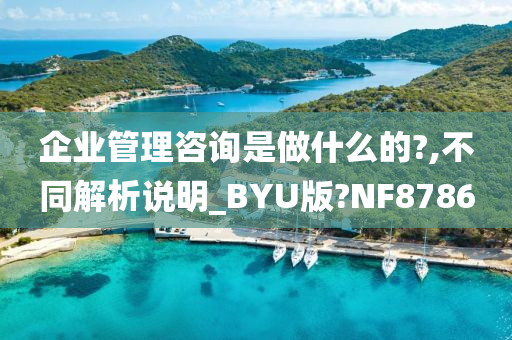 企业管理咨询是做什么的?,不同解析说明_BYU版?NF8786