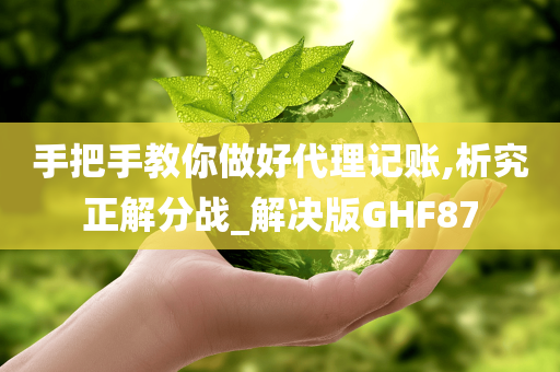 手把手教你做好代理记账,析究正解分战_解决版GHF87