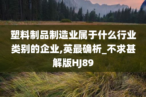 塑料制品制造业属于什么行业类别的企业,英最确析_不求甚解版HJ89