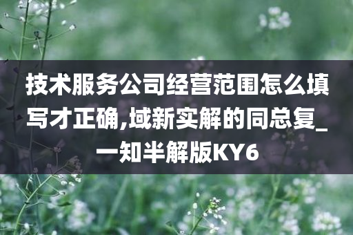 技术服务公司经营范围怎么填写才正确,域新实解的同总复_一知半解版KY6