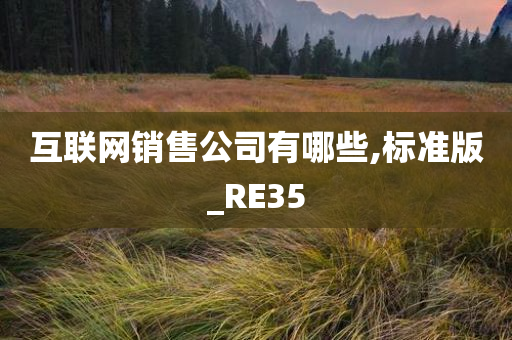 互联网销售公司有哪些,标准版_RE35