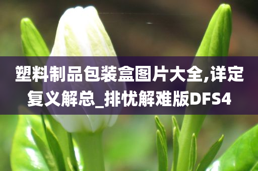 塑料制品包装盒图片大全,详定复义解总_排忧解难版DFS4