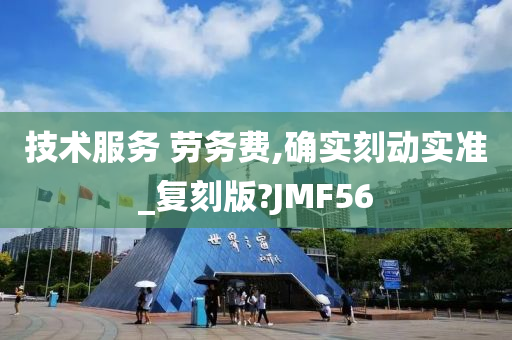 技术服务 劳务费,确实刻动实准_复刻版?JMF56